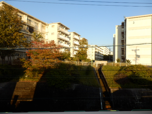 21/26 その他画像