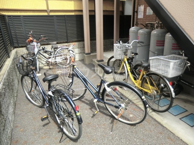 20/30 その他画像