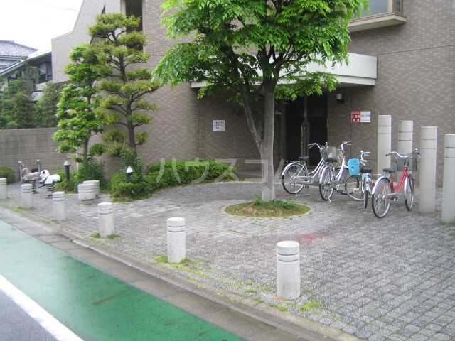 13/19 その他画像