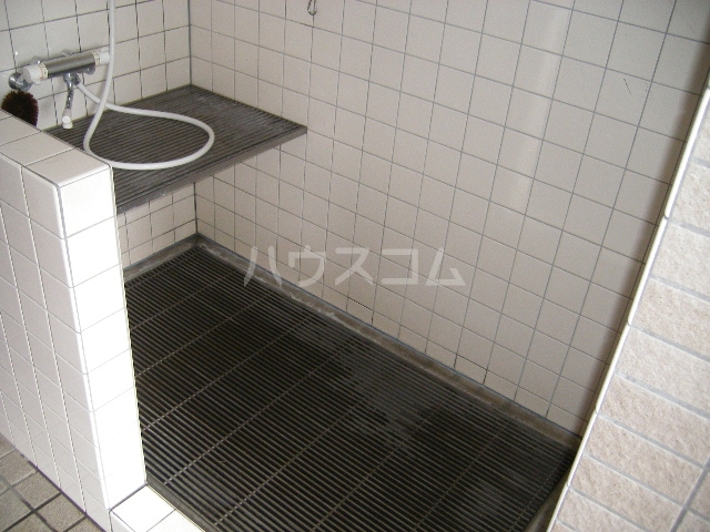 17/28 その他画像