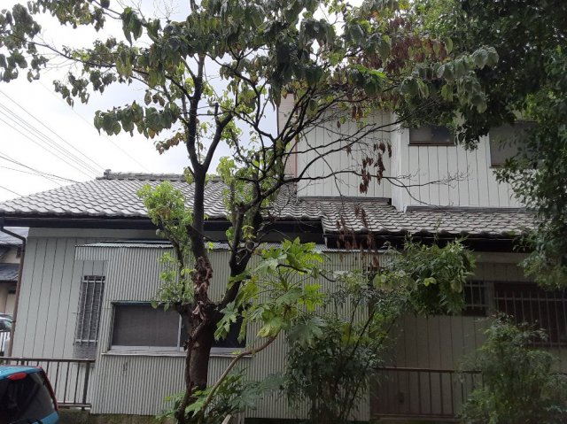 20/29 その他画像