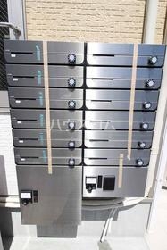 13/19 その他画像