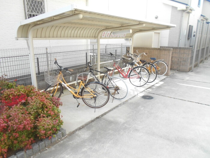 20/30 その他画像