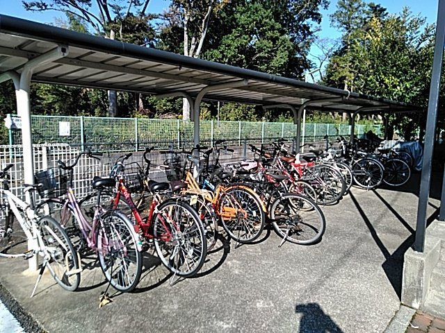 15/25 その他画像