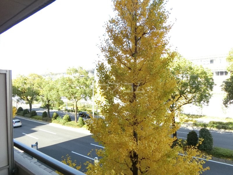 18/25 その他画像