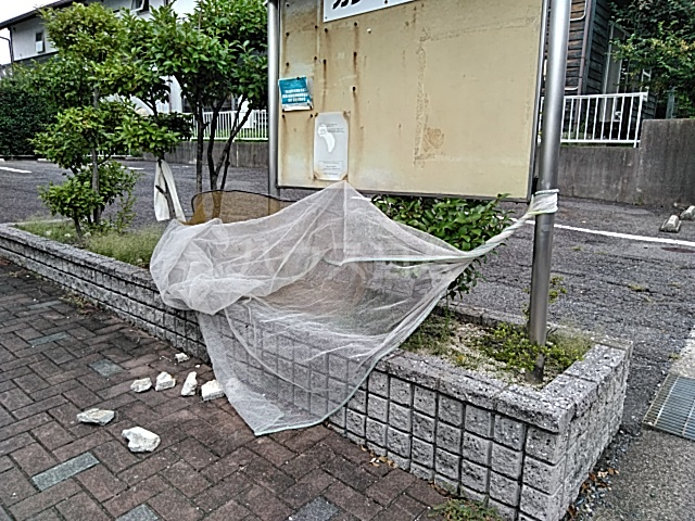 20/26 その他画像