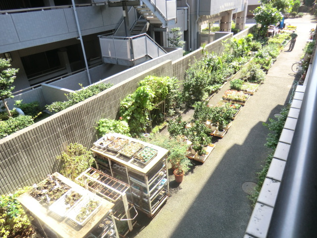 19/28 その他画像