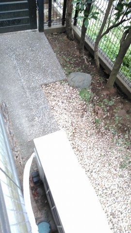 15/28 バルコニー