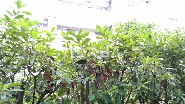 19/28 その他画像