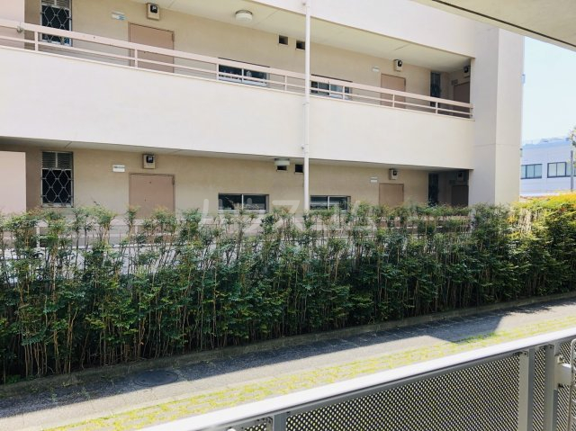 15/29 その他画像