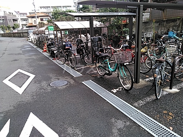 20/30 その他画像