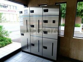 13/19 その他画像