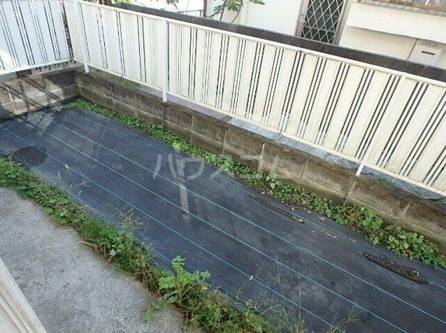 13/16 その他画像