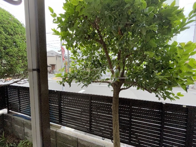 13/25 その他画像