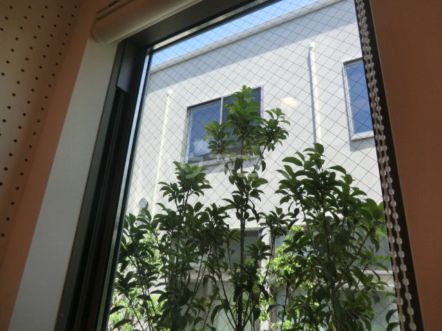 17/26 その他画像