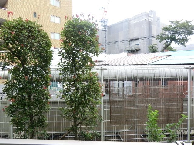 16/29 その他画像