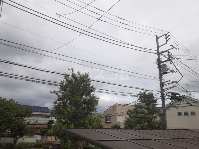 20/30 その他画像