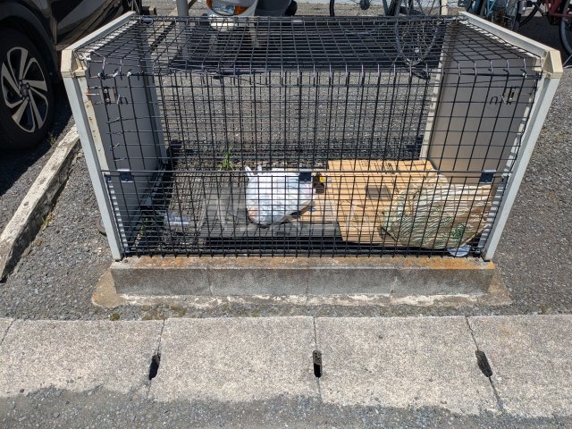 23/26 その他画像