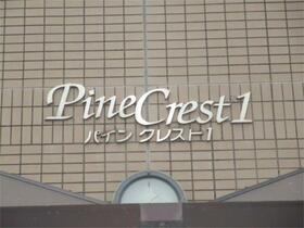 16/25 その他画像