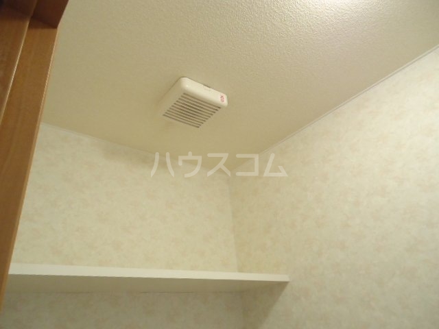 25/29 その他画像