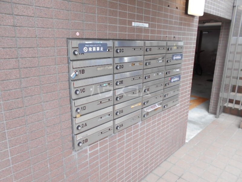 20/30 その他画像