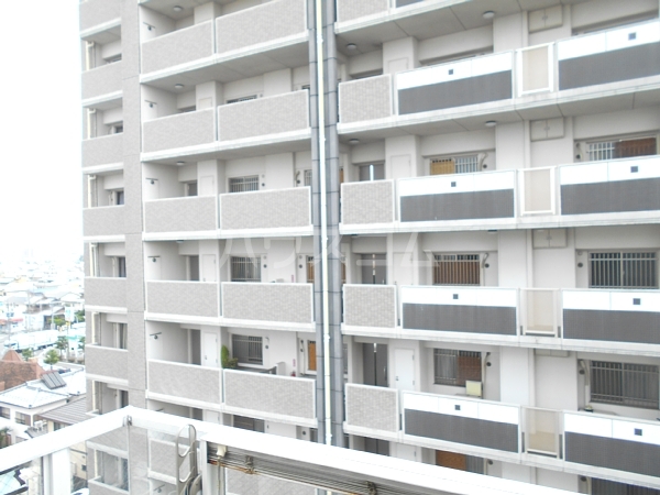 17/29 その他画像