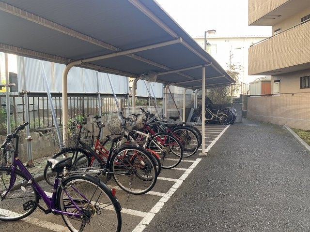 20/30 その他画像