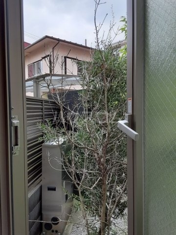 20/30 その他画像
