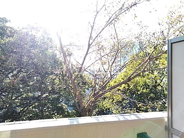 16/24 その他画像