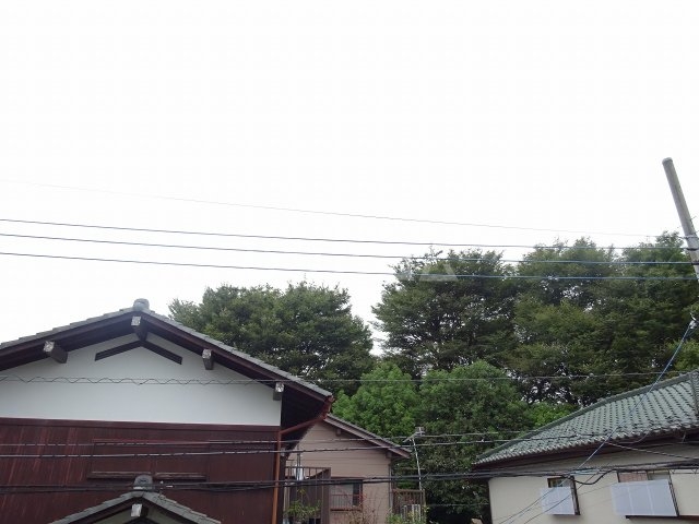 21/30 その他画像