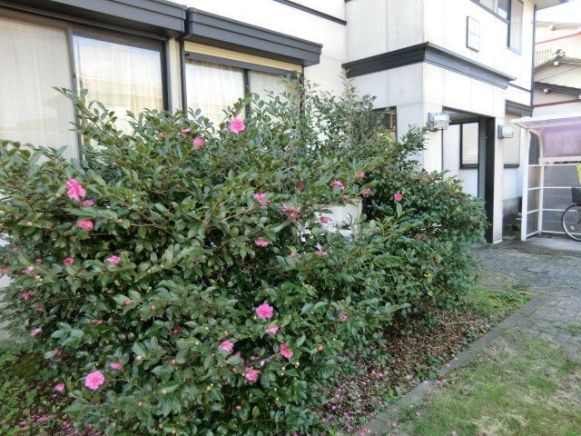 19/23 その他画像