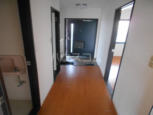 20/30 その他画像