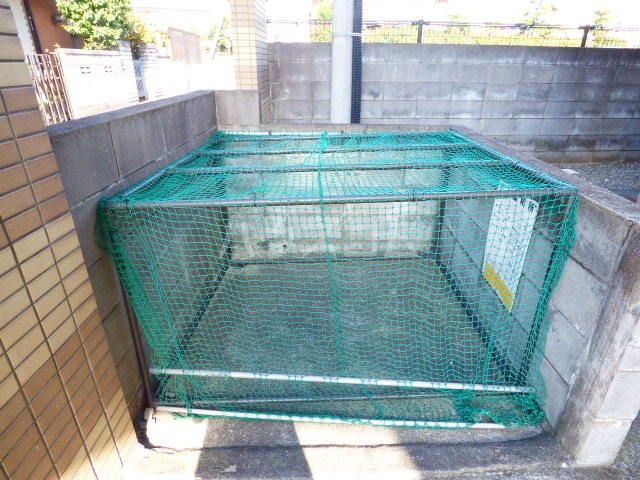 19/29 その他画像