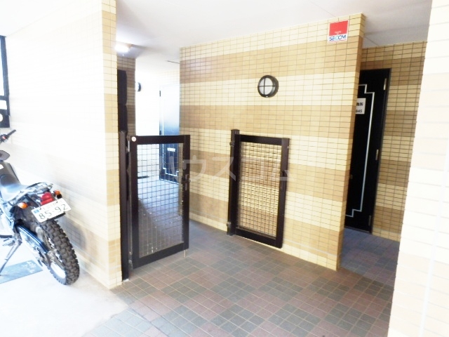 20/30 その他画像