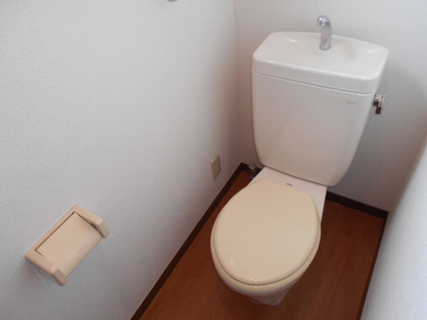 11/28 トイレ