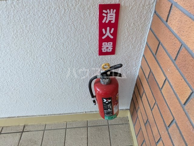 19/28 その他画像