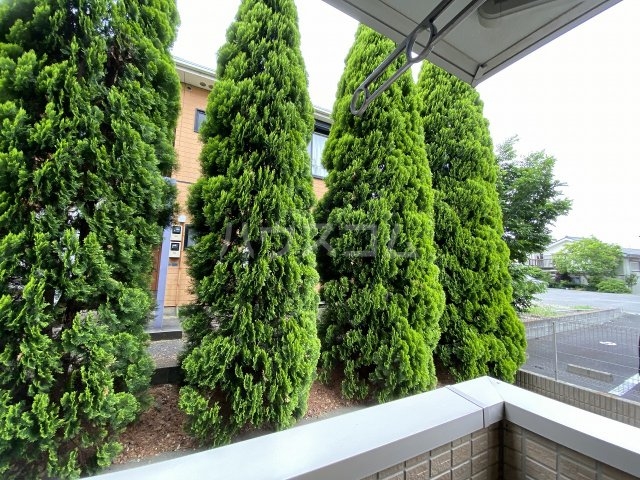 25/30 その他画像