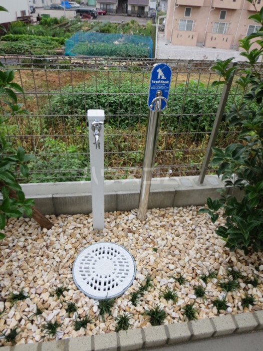 16/30 その他画像