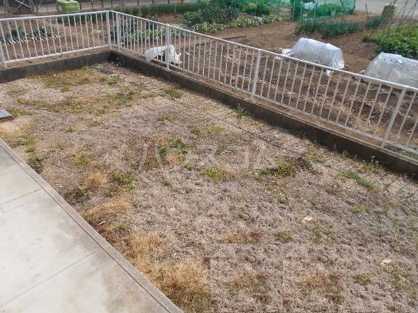 17/26 その他画像