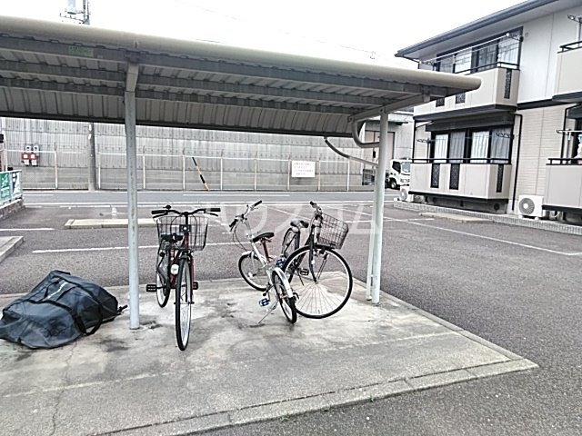 20/30 その他画像