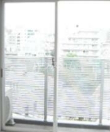 9/19 バルコニー