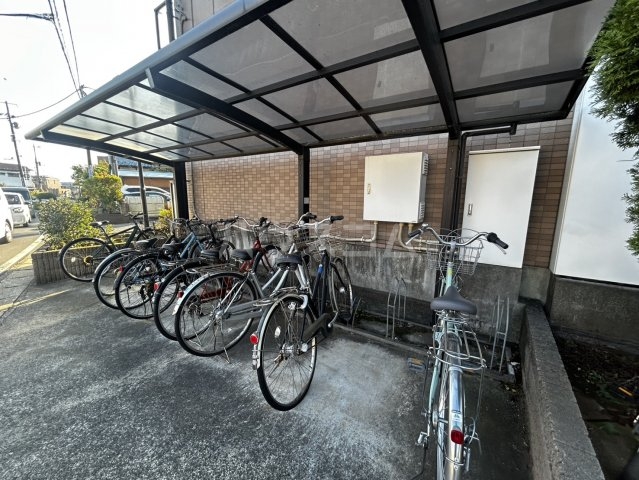 5/17 その他画像