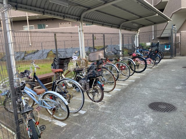 5/21 その他画像