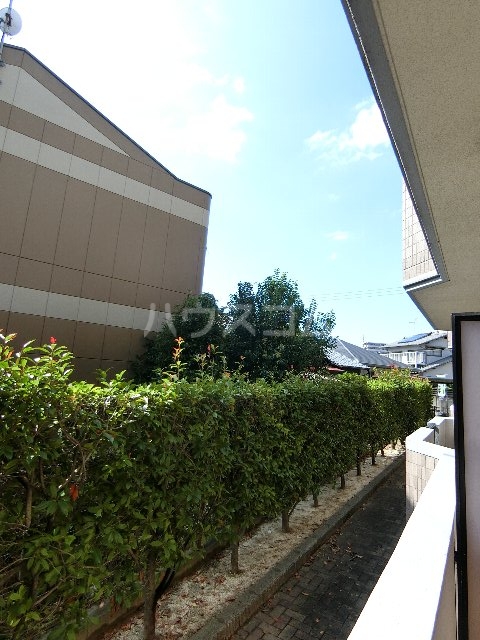 13/20 その他画像