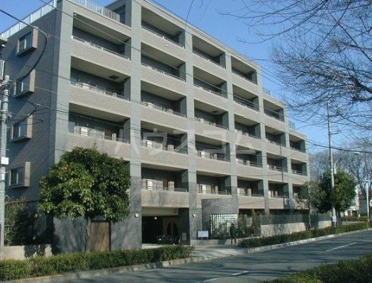 1/19 外観