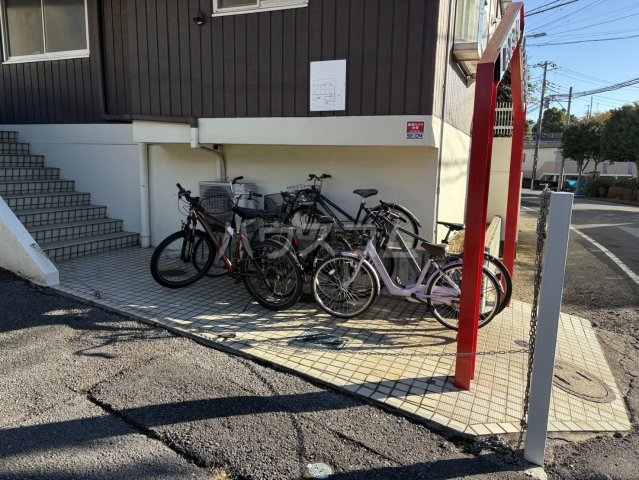 20/30 その他画像