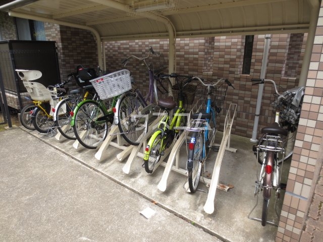 19/29 その他画像