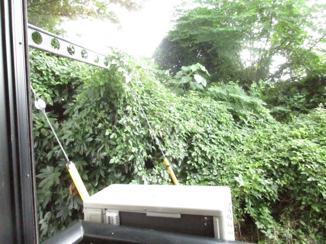 17/28 その他画像