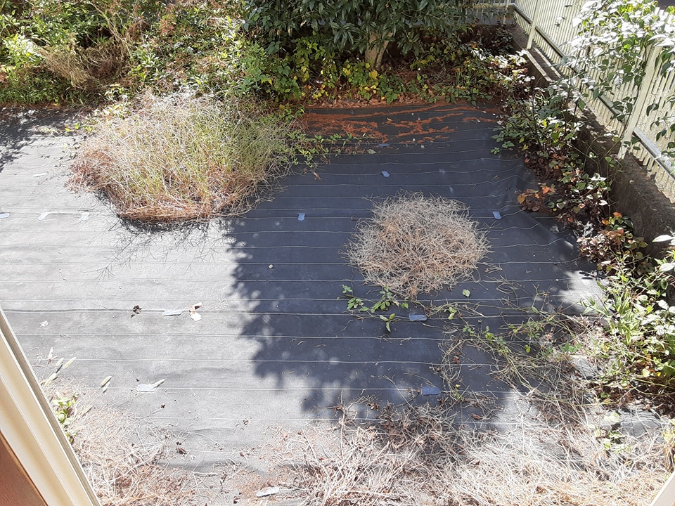 22/30 バルコニー