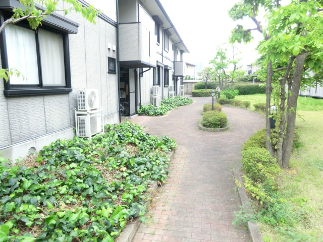 20/30 その他画像